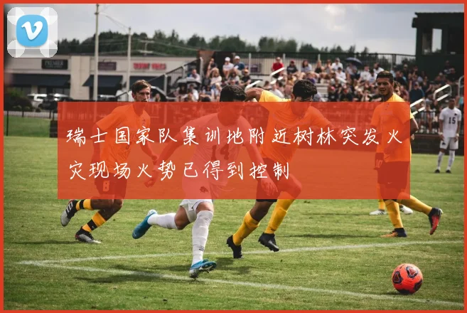 瑞士国家队集训地附近树林突发火灾现场火势已得到控制