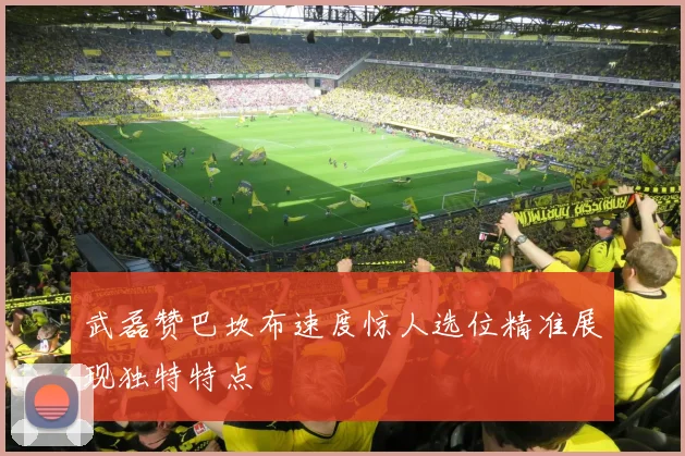 武磊赞巴坎布速度惊人选位精准展现独特特点