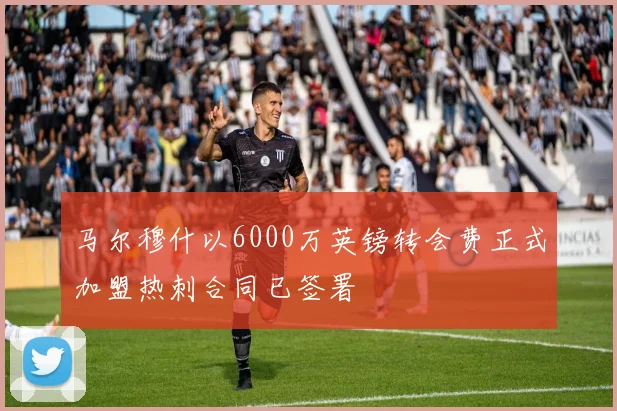马尔穆什以6000万英镑转会费正式加盟热刺合同已签署